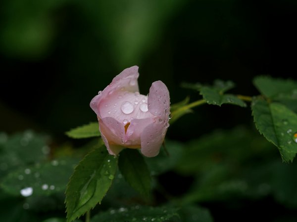 La réparation des portes de garage : guide DIY