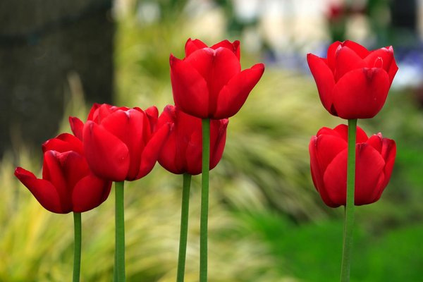 Comment assurer la sécurité de vos objets de valeur lors d'un déménagement simple?